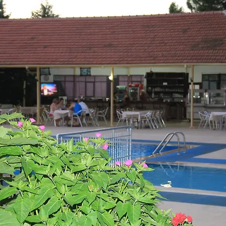 Petit Garden أولدينيس