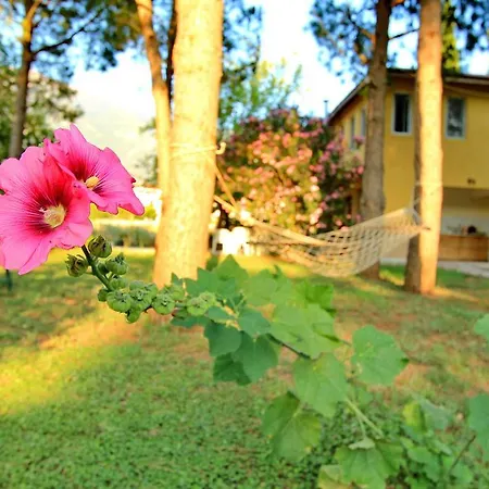 Petit Garden أولدينيس